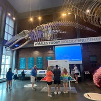 Foto tomada en New Bedford Whaling Museum  por Agnes T. el 8/11/2022