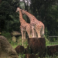 Photo taken at Taman Safari Indonesia by Jeannonly 1. on 2/17/2024
