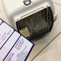 Maju Animal Clinic Kampung Sungai Putat