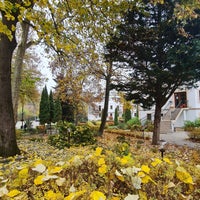 Photo taken at Hotel Villa Völgy by Kovács K. on 11/9/2022