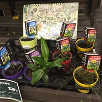 ダイソー ホームセンターコーナン小牧店 小牧市 愛知県 ダイソー ホームセンターコーナン小牧店 小牧市 愛知県