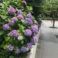 Fujifilm名古屋ビル Building In 名古屋市