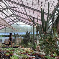 サボテンランド カクト ロコ 北区都田町1672 3 サボテンランド カクト ロコ 北区都田町1672 3