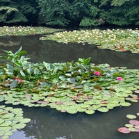 Photo taken at Nan-Chi (South Pond) by Robin B. on 5/26/2023