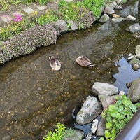 Photo taken at Meguro River Green Road by Peter W. on 4/11/2024