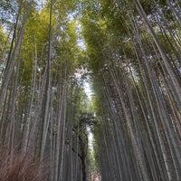 Photo taken at Arashiyama Park by Peter W. on 12/3/2023
