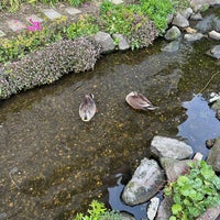 Photo taken at Meguro River Green Road by Peter W. on 4/11/2024