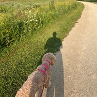 Photo taken at Three Oaks Recreation Area by Samantha H. on 8/19/2023