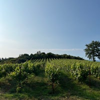 Photo taken at ambelonas_corfu / vineyard by Dana ♓. on 6/30/2023