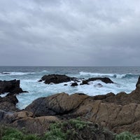 Photo taken at Point Lobos State Reserve by Chrissie S. on 3/30/2024
