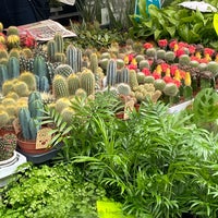Photo taken at Columbia Road Flower Market by Yena L. on 3/17/2024