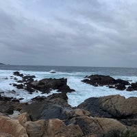 Photo taken at Point Lobos State Reserve by Steph T. on 3/29/2024