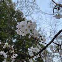 Photo taken at Zenpukuji Park by monkiching on 4/2/2024