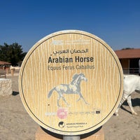 Photo taken at Al Areen Wildlife Park &amp;amp; Reserve by ✨🌴 on 1/5/2024