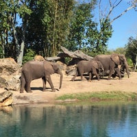 Photo taken at Kilimanjaro Safaris by Meltem B. on 1/29/2016