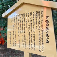 Photo taken at Tadasu no Mori by 報茶 on 12/17/2023