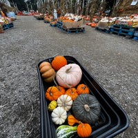 Photo taken at Clancy&amp;#39;s Pumpkin Patch by Angeline C. on 10/25/2023