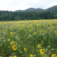石崎地主海神社入り口