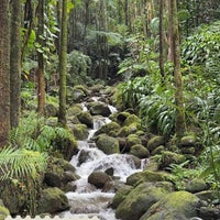 Foto scattata a Hawaii Tropical Botanical Garden da ناصر آل ثاني 🇶🇦🐎 il 3/9/2024
