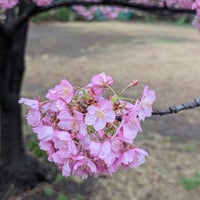 Photo taken at Sugekari Park by Guro G. on 2/22/2024