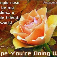 Review Toko Buku Immanuel