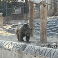 Photo taken at Tehran Zoo by Simin J. on 12/15/2023
