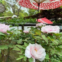 Photo taken at Peony Garden by 佳世 小. on 4/21/2024