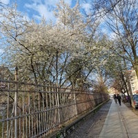 Photo taken at Prenzlauer Berg by Mike F. on 3/20/2024