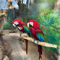 Photo taken at Bakı Zooparkı / Baku Zoo by Rəhimə Ə. on 1/6/2024