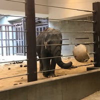Photo taken at Elephant House by Rachel B. on 4/7/2019