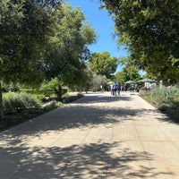 Photo taken at The Huntington Library, Art Collections, and Botanical Gardens by dawi on 4/8/2024