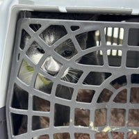 Foto tomada en Joon Veterinary Clinic &amp;amp; Pet Shop  por خالد el 4/13/2024