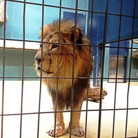 11/25/2012にDavidがベルリン動物園で撮った写真