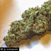 Photo taken at Cookies &amp;amp; Cream by Seeds Here N. on 10/26/2015