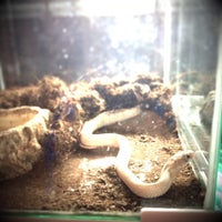 Okinawa Bianco 新都心 1 Tip