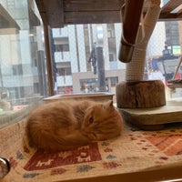 Photo taken at ねこマルシェ by Ö Muhammad A. on 12/5/2018