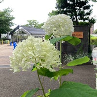 川崎市緑化センター 多摩区 川崎市多摩区 神奈川県
