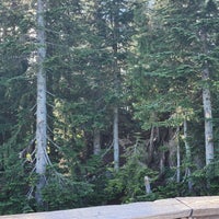 7/19/2023にSissy S.がGrouse Mountainで撮った写真