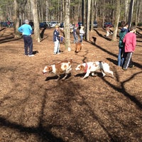 sweat mountain dog park