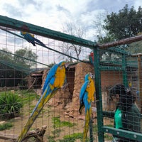 Foto scattata a Attica Zoological Park da Antonis T. il 2/10/2024