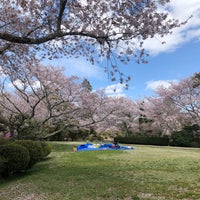杉村公園 橋本市 和歌山県