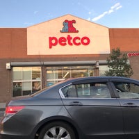 petco kings plaza