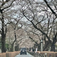 Photo taken at 青山墓地中央交差点 by 真沙みゅん †. on 3/22/2021