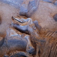 5/4/2015에 CNN님이 Ashfall Fossil Beds State Historical Park에서 찍은 사진