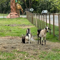 รูปภาพถ่ายที่ Parque Tematico. Hacienda Napoles โดย Diego F. M. เมื่อ 1/6/2024