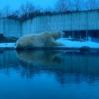 Photo taken at Tallinn Zoo by Sina A. on 1/28/2024