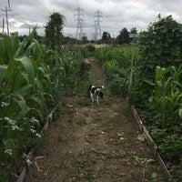 Photo taken at P-patch Community Garden by Melissa D. on 7/20/2017