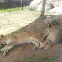 4/23/2017 tarihinde Stephanie S.ziyaretçi tarafından El Paso Zoo'de çekilen fotoğraf