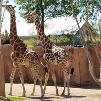 Photo taken at El Paso Zoo by Stephanie S. on 4/23/2017