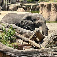 Photo taken at Dallas Zoo by Ags on 8/7/2023